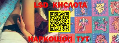 jwh Ставрополь